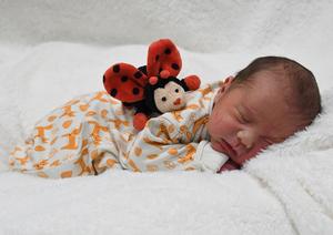 Feedback - Vivien, Dean & baby Kian